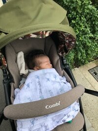 ニッチェ 江上敬子『お散歩デビュー！』