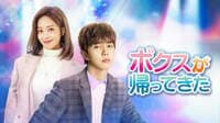 ボクスが帰ってきた