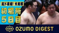 2020年 大相撲一月場所 - 大相撲ダイジェスト五日目