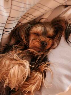  武東由美、無理だと思った夫・モト冬樹との結婚「熟年離婚 別居したりなさる方も」 