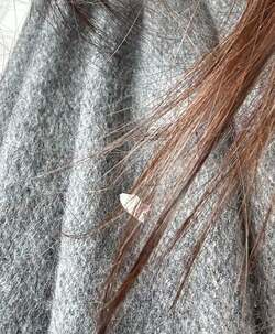  森口博子、外出先で気が付いてやってしまったと思ったこと「可愛い」「あるあるですね」の声 