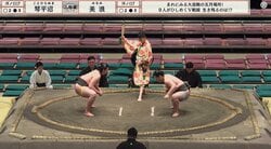 「花道の奥に妖精が」大相撲、花道奥に一目でわかる特徴的な姿 「めっちゃ目立つ」ファン興奮