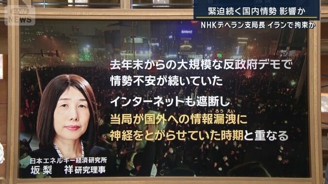 日本エネルギー経済研究所の坂梨祥さん