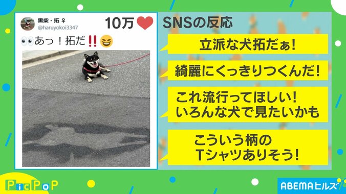 “柴拓”誕生！