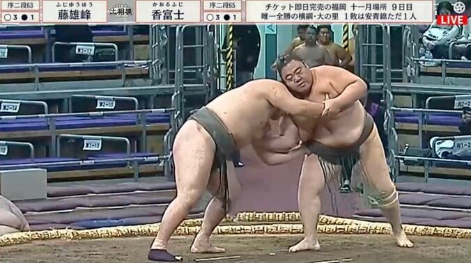 【写真・画像】　1枚目