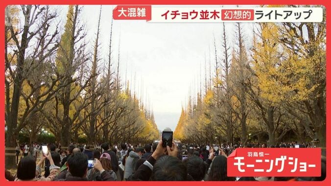 大混雑・神宮外苑イチョウ並木　赤信号でスマホ撮影　警備員注意も道路横断　新対策は 1枚目