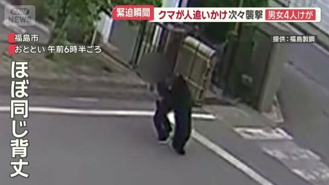 立ち上がったクマは男性とほぼ同じ背丈