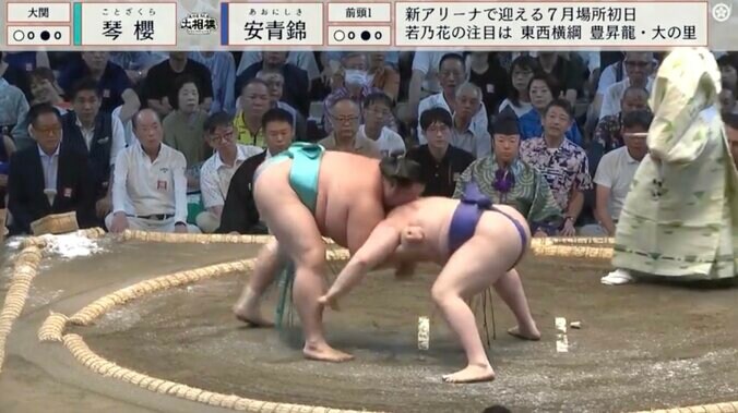 珍手で大関を撃破した安青錦