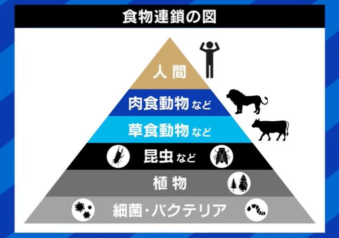 【写真・画像】ペットの“認知症”予防と対策は？「安楽死」を選択する人も…介護&看取った当事者に聞く「恩返しする最後のチャンス」　4枚目