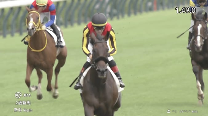 【映像】「恐ろしく走る」2冠牝馬の弟、快勝のレース（ハイライト）