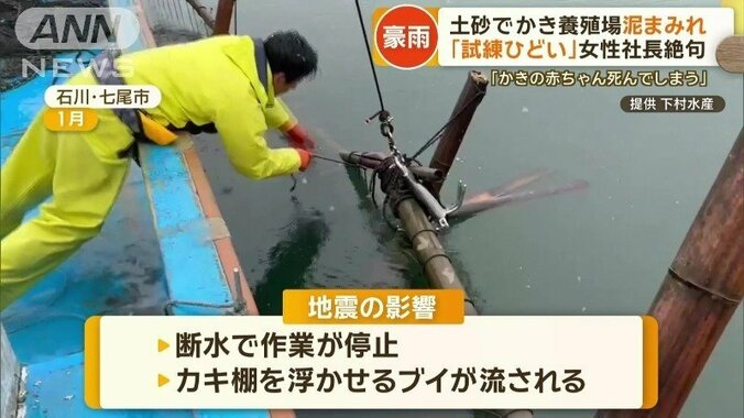 カキ棚を浮かせるブイが流される