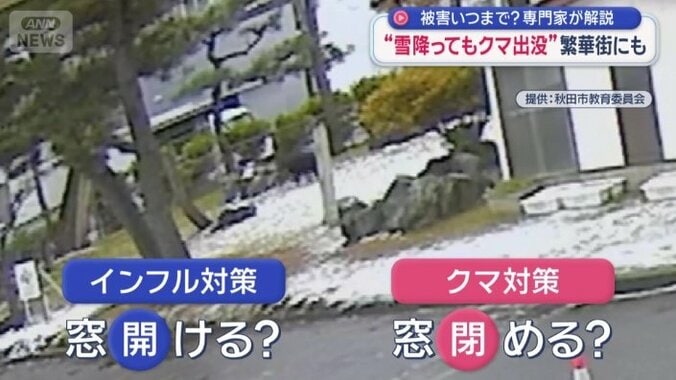 インフル対策かクマ対策か判断が悩ましい状況