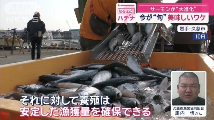 「安定した漁獲量を確保できる」
