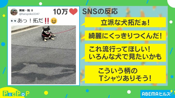 “柴拓”誕生！