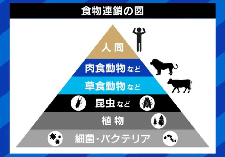 【写真・画像】ペットの“認知症”予防と対策は?「安楽死」を選択する人も…介護&看取った当事者に聞く「恩返しする最後のチャンス」 4枚目