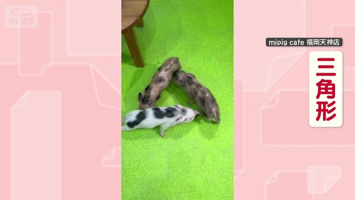 三角形になって回る！