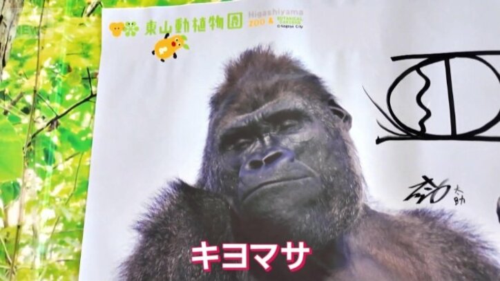 シャバーニの息子