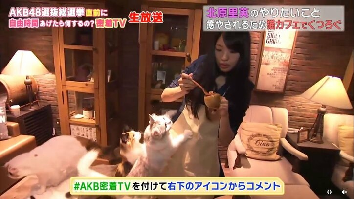 NGT48北原里英、総選挙速報の50位に「まだまだ諦めてないです！」