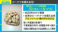 千葉県に新たな名産品誕生？ “P”を超えた『Qなっつ』