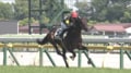 「泣ける」ディープインパクト産駒の“9歳馬”、6年ぶり勝利に感動の声「これぞ競馬のロマン！」「戦績見てうるっと」