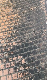 桂文枝『これからが』