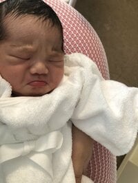 チェリー吉武『これは目に鼻に口にいれても痛くないだろう』