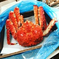 中平亜紀『* 報告です *』