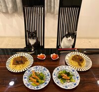 藤あや子『昨日の晩ごはん』