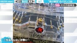 「リアルカイジ」「ATフィールド全開!!」一生当たらない“パチンコ台”の動画に反響続々