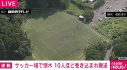 サッカー場で倒木 10人ほど巻き込まれ搬送