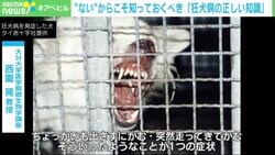 「日本に狂犬病はないからワクチンを打たなくていい」は間違い！ 発症したら致死率100%のウイルスへの正しい備え