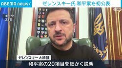 ゼレンスキー氏 和平案を初公表