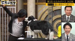 チャンス大城「犬のためだけに歌う氷室京介」仕込みボケの大渋滞にかまいたちも抱腹絶倒「しょうもなさすぎる」