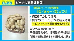 千葉県に新たな名産品誕生？ “P”を超えた『Qなっつ』