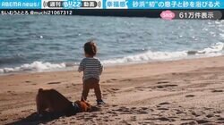 砂浜デビューの1歳息子とコーギーの“微笑ましい動画”に「なんて幸せあふれる風景なの…」「海での遊び方指導中かな？」と反響
