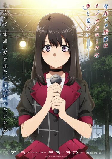 青春ブタ野郎はバニーガール先輩の夢を見ないの放送・配信・作品