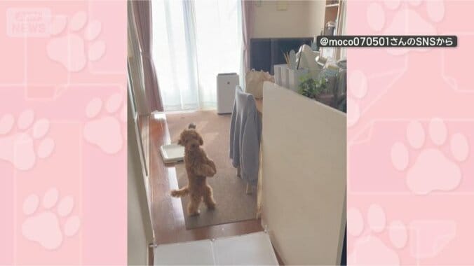 きょうもレッツダンス！