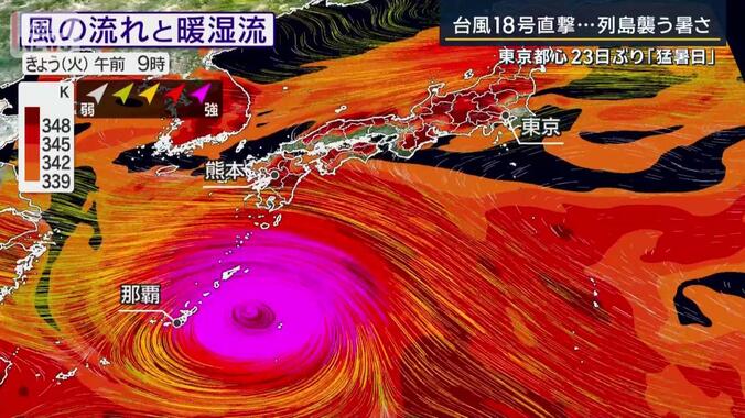 風の流れと暖湿流