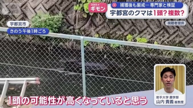 「1頭の可能性が高くなっていると思う」