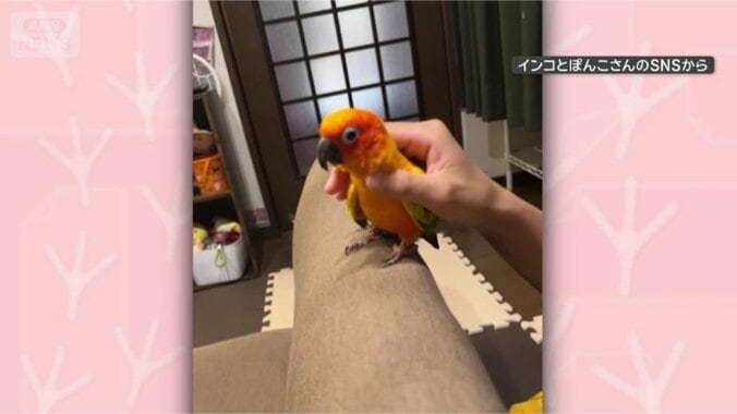 なでなで、いい気持ち