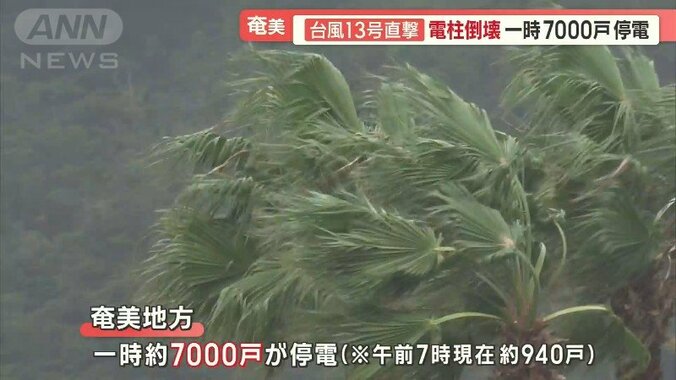 台風13号の影響