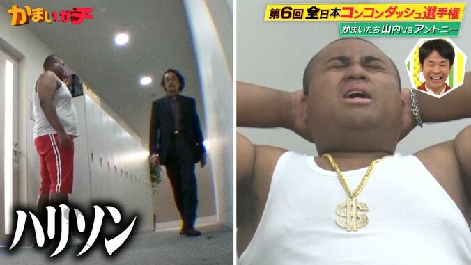 【写真・画像】　1枚目