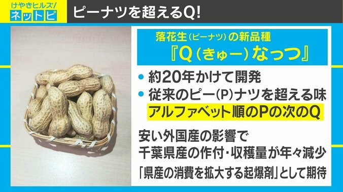 千葉県に新たな名産品誕生？ “P”を超えた『Qなっつ』 1枚目