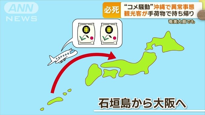 観光客が手荷物で持ち帰り