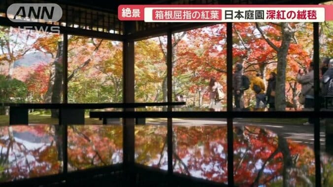 紅葉がテーブルに映し出される