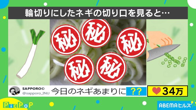 輪切りにしたネギの断面を見ると…