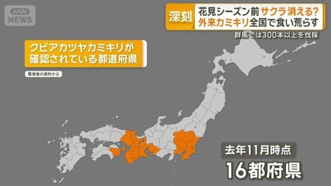 クビアカツヤカミキリが確認されている都道府県