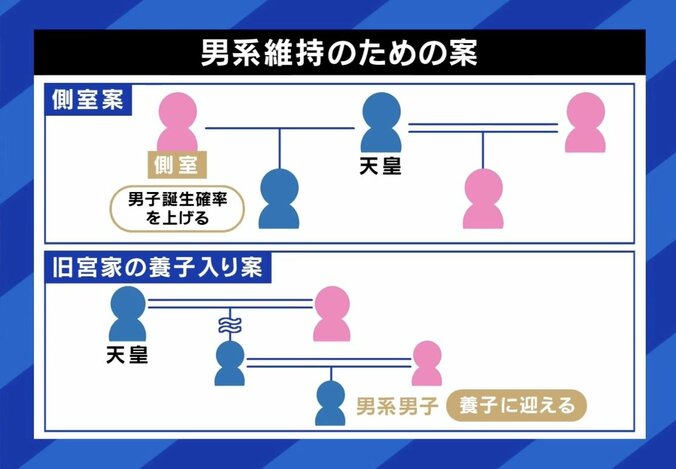 男系維持のための案