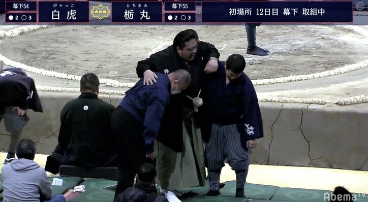 浅香山親方の代役を務めた振分親方に「不安げな表情だ」とファンも心配