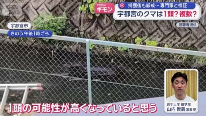 「1頭の可能性が高くなっていると思う」